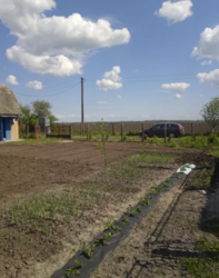 Продаж дачі хутір Черкас фото 8 Продаж дачі хутір Черкас фото 8