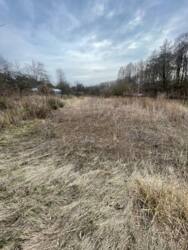 Продаж дачі, с.Великополовецьке (хутір Вороничі). фото 8 Продаж дачі, с.Великополовецьке (хутір Вороничі). фото 8