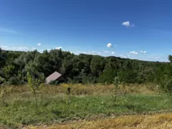 ������ �������, �. �������� ���� 4