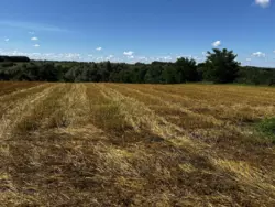 ������ �������, �. �������� ���� 5