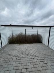 ������ ����� ���������, ������� ���� 6