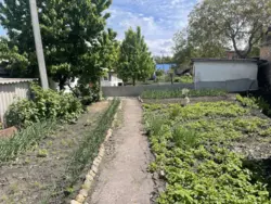 ������ �������, �. ������ ���� 14