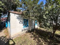 ������ ������� �. ���� ������. ���� 2