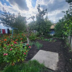 Продаж частину будинку, Піонерська фото 11 Продаж частину будинку, Піонерська фото 11