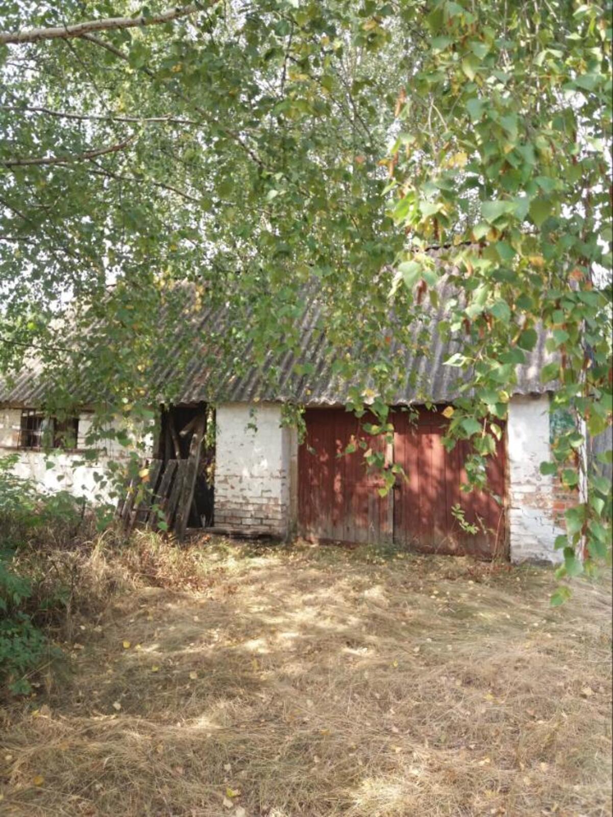Продам будинок під знесення та земельну ділянку Андріївка фото 1 Продам будинок під знесення та земельну ділянку Андріївка фото 1