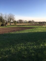 ������ ������� � ������ ���� 15