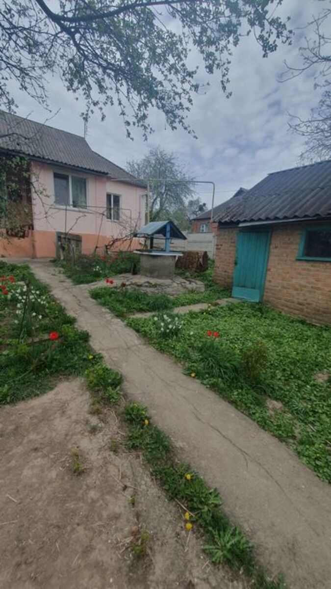 ��������� ������� �������, ����������, ��������, ��������� ���� 1