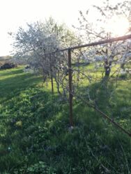 ������ ������� � ������ ���� 14