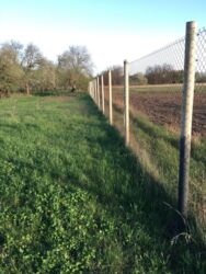 ������ ������� � ������ ���� 13