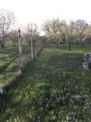 ������ ������� � ������ ���� 12