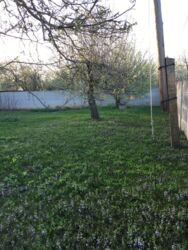 ������ ������� � ������ ���� 11