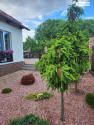 Продаж прекрасного комфортного будинку в Яру фото 4 Продаж прекрасного комфортного будинку в Яру фото 4