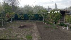 Продається будинок Полтава, Полтавська, Київський, Браїлки фото 7 Продається будинок Полтава, Полтавська, Київський, Браїлки фото 7