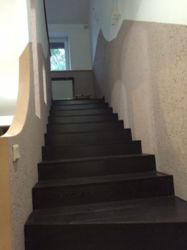      2274371  5