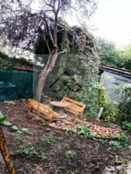 ��������� ������� � ����� ����, �������� ���� ���� 19