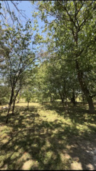 ������ �������, 32����� ����, 5�� ���� �� ����������� ���� 16