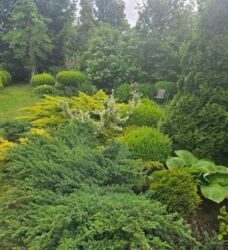 ��������� ������� �������, ����������, ������������� (���������), ���������� ���� 9