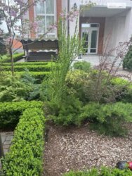 Продаж 2 поверхового будинку веранда і ділянкою на 12.6 сотки Юровка фото 9 Продаж 2 поверхового будинку веранда і ділянкою на 12.6 сотки Юровка фото 9