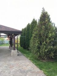 ������ ����������� ��� � �. ������� �. ���������� ���� 9