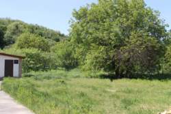 ��������� ����������� ��� � �������� � 22207257 ���� 16