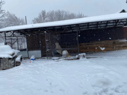 ��������� ������� �������, ����������, ����������, ϳ������� ������ ���� 4