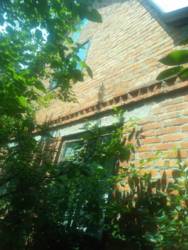 Продам дом. Миргород. Зинчаши. фото 3 Продам дом. Миргород. Зинчаши. фото 3