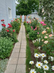 ������ ������� � ������ ��� �ȯ� ��� � 22-441-092 ���� 8