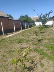 ��������� ������� ��������, �������, ����������, ����������, ���� ���� 8