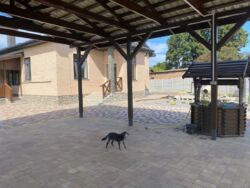 ������ ������� ��� �22385506 ���� 7