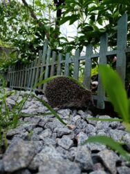 ��������� ������� � ����������! ���� 15