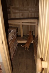 ��������� ����������� ��� � �������� � 22207257 ���� 9