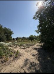 ������ �������, 32����� ����, 5�� ���� �� ����������� ���� 18