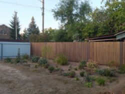 ��������� ������� ��������, �������, ����������, ����������, ���� ���� 6