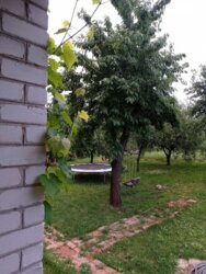 ������ ������� ���� 5