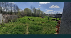 Продаж будинку з флігелем фото 10 Продаж будинку з флігелем фото 10