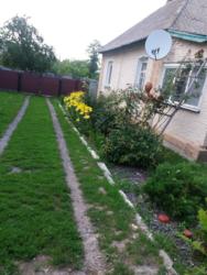 Продається будинок Червонозаводське, Лохвицький, Полтавська фото 1 Продається будинок Червонозаводське, Лохвицький, Полтавська фото 1