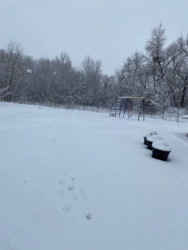 ��������� ������� �������, ����������, ����������, ϳ������� ������ ���� 5