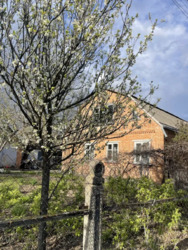 Продається будинок Зоряна, Полтава, Полтавська, Шевченківський (Жовтневий), Розсошенці фото 1 Продається будинок Зоряна, Полтава, Полтавська, Шевченківський (Жовтневий), Розсошенці фото 1