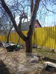 ��������� ������� ���. ����������������, �������, ����������, ��������, �������� ��'���� ���� 12