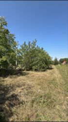 ������ �������, 32����� ����, 5�� ���� �� ����������� ���� 17