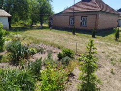 ��������� ������� ��������, �������, ����������, ����������, ���� ���� 2