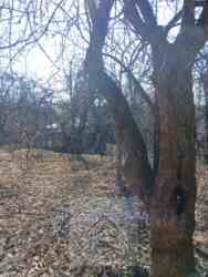 ��������� ������� ���. ����������������, �������, ����������, ��������, �������� ��'���� ���� 51