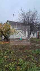 ������ ������� ���� 12