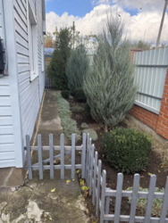 ������ ������� � ������ ��� �ȯ� ��� � 22-441-092 ���� 7