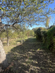 Продається будинок вул Колійна, Полтава, Полтавська, Подільський, Поділ фото 11 Продається будинок вул Колійна, Полтава, Полтавська, Подільський, Поділ фото 11