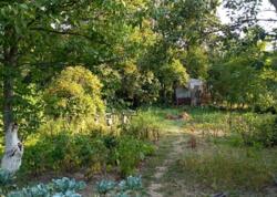 Дачный участок на Воронина фото 2 Дачный участок на Воронина фото 2