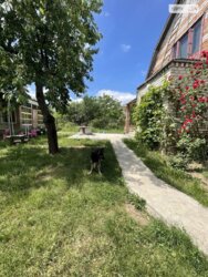 ������ ������� ���� 2