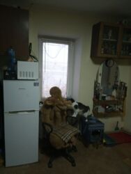 ��������� ������� �������, ����������, �������� ���� 3