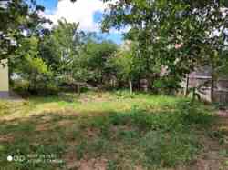 ������� ���� � ������� ��� 22247331 ���� 2