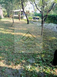 ������ ������� ������� � ������ ���� 7